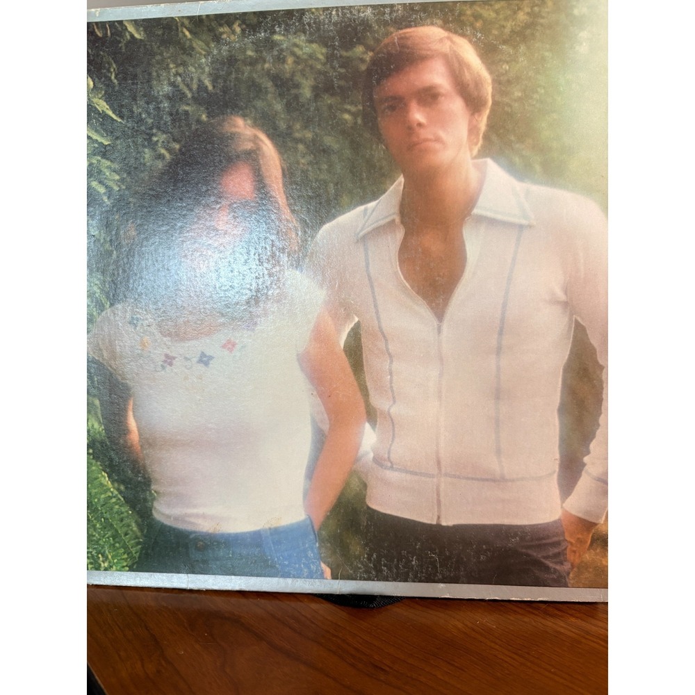 The Carpenters Horizon Vinyl LP 1975 A&M Records SP4530 33 RPM 12" Pop